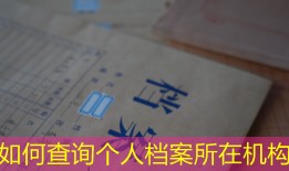 如何查询个人档案所在机构