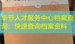 毕节人才服务中心档案查询：快速查询档案资料