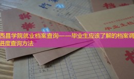 西昌学院就业档案查询——毕业生应该了解的档案调动进度查询方法