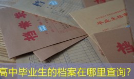 高中毕业生的档案在哪里查询？