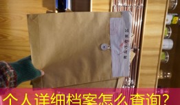 个人详细档案怎么查询？
