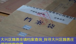 大兴区魏善庄镇档案查询_探寻大兴区魏善庄镇的档案宝藏