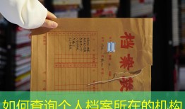 如何查询个人档案所在的机构