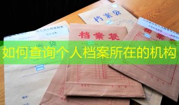 如何查询个人档案所在的机构