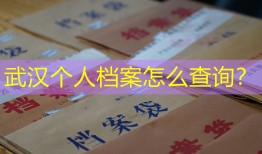 武汉个人档案怎么查询？
