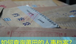 如何查询莆田的人事档案？