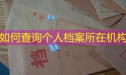 如何查询个人档案所在机构