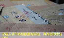 宁波人才市场档案查询网站：寻找您的职业记述