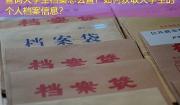 查询大学生档案怎么查？如何获取大学生的个人档案信息？