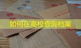 如何在高校查询档案