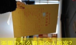 浙里办怎么查询个人档案？