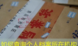 如何查询个人档案所在机构
