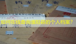 如何在线查询濮阳县的个人档案？