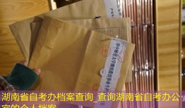 湖南省自考办档案查询_查询湖南省自考办公室的个人档案