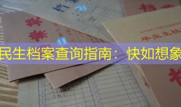 民生档案查询指南：快如想象
