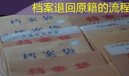 档案退回原籍的流程