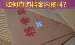 如何查询档案内资料？