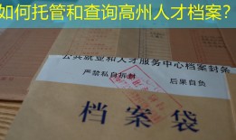 如何托管和查询高州人才档案？