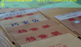 驻马店档案查询表：寻找个人档案的有效助手