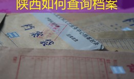陕西如何查询档案