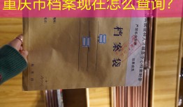 重庆市档案现在怎么查询？
