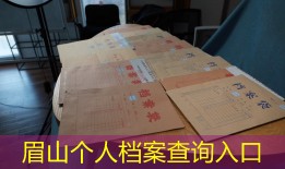 眉山个人档案查询入口