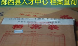 郧西县人才中心 档案查询