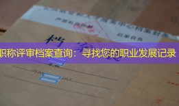 职称评审档案查询：寻找您的职业发展记录
