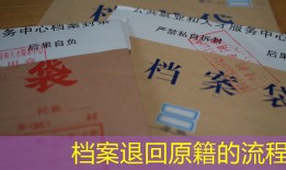档案退回原籍的流程