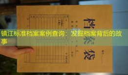 镇江标准档案案例查询：发掘档案背后的故事