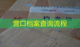 营口档案查询流程