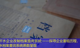 沂水企业改制档案查询系统——探寻企业重组历程，沂水档案查询系统悉数呈现