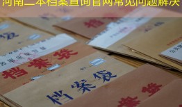 河南二本档案查询官网常见问题解决
