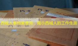 西城人事档案查询：揭示西城人的工作生涯
