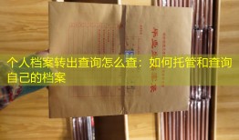 个人档案转出查询怎么查：如何托管和查询自己的档案