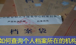 如何查询个人档案所在的机构