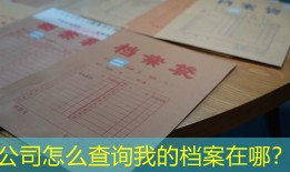 公司怎么查询我的档案在哪？
