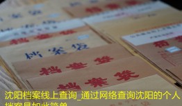 沈阳档案线上查询_通过网络查询沈阳的个人档案是如此简单
