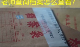 老师查询档案怎么查看？