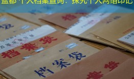 盐都 个人档案查询：探究个人网络印记