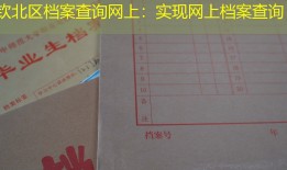 钦北区档案查询网上：实现网上档案查询