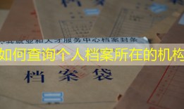 如何查询个人档案所在的机构