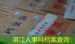 湛江人事网档案查询：