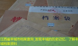 江西省丰城市档案查询_发现丰城的历史记忆，了解丰城档案资料