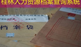 桂林人力资源档案查询系统