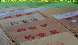 探索成都高新 人才档案的全面查询之路
