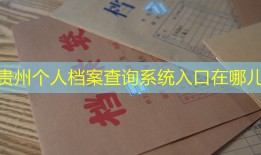 贵州个人档案查询系统入口在哪儿