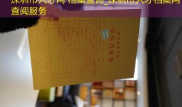深圳市人才网 档案查询_深圳市人才档案网 查阅服务
