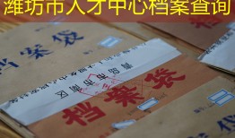 潍坊市人才中心档案查询