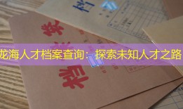 龙海人才档案查询：探索未知人才之路